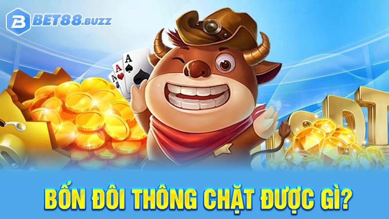 bốn đôi thông chặc được gì