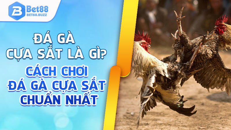 cách chơi đá gà cựa sắt